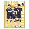 Haikyu!! To The Top 6 Pocket w/Zip Clear File Karasuno High School (Anime Toy)