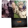 Dr. Stone Clear File B (Anime Toy)