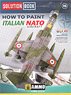 ソリューションブック：NATO迷彩の イタリア空軍機塗装ガイド (書籍)