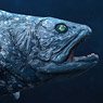 Star Ace Toys Coelacanth Polyresin Statue (Completed)
