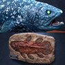 Star Ace Toys Coelacanth Polyresin Statue DX Ver. (Completed)