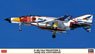 F-4EJ Kai Phantom II `302SQ 20th Anniversary` (Plastic model)