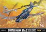 Curtiss Hawk 81-A2 Flyingtigers (Plastic model)