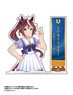 Uma Musume Pretty Derby Acrylic Photo Stand Tokai Teio (Anime Toy)