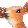 My Little Zoo White Tailed Deer Fawn (Animal Figure)