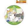 Dr.STONE スイカ Ani-Art BIG缶バッジ (キャラクターグッズ)