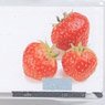 RhB Container Coop Strawberry & Lettuce, 2 pieces (COOP Refrigerated Container) (2 Pieces) (Model Train)