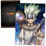 Dr. Stone Clear File C (Anime Toy)