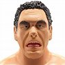 Andre the Giant Ultimate 8inch Action Figure Ver.2 (Completed)
