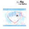 Re:Zero -Starting Life in Another World- Rem Ani-Art Aqua Label B2 Tapestry (Anime Toy)