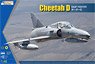 チーターD 南アフリカ空軍 戦闘機 (プラモデル)