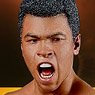 Muhammad Ali 1/6 Action Figure (Completed)