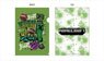 Minecraft A4 Clear File / Creeper (Anime Toy)