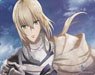 Bushiroad Rubber Mat Collection V2 Vol.308 Fate/Grand Order - Divine Realm of the Round Table: Camelot [ Bedivere] (Card Supplies)