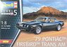`79 Pontiac Firebird Trans Am (Model Car)