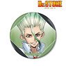 Dr.STONE 描き下ろしイラスト 石神千空 石化前ver. BIG缶バッジ (キャラクターグッズ)