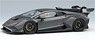 Lamborghini Huracan Super Trofeo EVO2 2021 Grigio Keres Matte (Matte Metallic Gray) (Diecast Car)