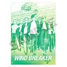 Wind Breaker Single Clear File / Bofurin _ Green (Anime Toy)
