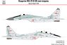 MiG-29B/UB ハンガリー空軍 (旧迷彩) (デカール)