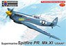 Spitfire PR.Mk.XI `USAAF` (Plastic model)
