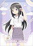 Puella Magi Madoka Magica Clear File Homura (Anime Toy)