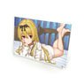 Arifureta: From Commonplace to World`s Strongest Yue Acrylic Art Board (Anime Toy)