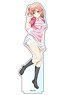 My Teen Romantic Comedy Snafu Climax Big Acrylic Stand Yui (Tennis) (Anime Toy)