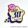 Kirby`s Dream Land 30th Memory Pins (Anime Toy)