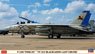 F-14D トムキャット `VF-213 ブラックライオンズ ラストクルーズ` (プラモデル)