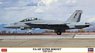 F/A-18F Super Hornet `TopGun` (Plastic model)