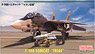 IRIAF F-14A Tomcat (Limited Edition) (Plastic model)