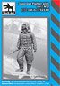Japanese Fighter Pilot WWII No.2 (Plastic model)