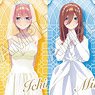 [The Quintessential Quintuplets] Satin Sticker Vol.1 (Set of 10) (Anime Toy)