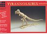 Tyrannosaurus Rex Skeleton (Plastic model)