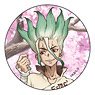 Dr.STONE 【描き下ろし】缶バッジ 石神千空(桜) (キャラクターグッズ)