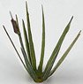 [Versatile Diorama Material] Laser Cut Plant Reed Large (Grass Height: 20mm) (Model Train)