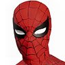 ONE:12 Collective/ The Amazing Spider-Man: Spider-Man 1/12 Action Figure DX Edition (Completed)