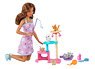 Barbie Cat Care Set w/Toys & Cat Tawa (Character Toy)