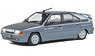 Citroen BX Sports (Gray) (Diecast Car)