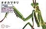 Biology Edition Big Mantis Special Version (Metallic Silver) (Plastic model)