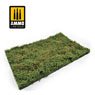 Wilderness Fields with Bushes - Early Summer (Plastic model)