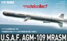 アメリカ空軍 AGM-109中距離空対地ミサイル (18個セット) (プラモデル)