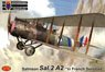 Salmson Sal.2A2 `In French Services` (Plastic model)