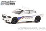 2014 Dodge Charger - Kennedy Space Center (KSC) Security Patrol (Diecast Car)