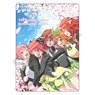 The Quintessential Quintuplets Pencil Board Cherry Blossoms (Anime Toy)