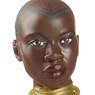 Marvel - Marvel Legends: 6 Inch Action Figure - MCU Series: Okoye [Movie / Black Panther: Wakanda Forever] (Completed)