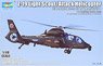 中国人民解放軍 Z-19 攻撃/偵察ヘリコプター (プラモデル)