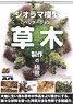 AK Learning Series Mastering Vegetation in Modeling Japanese Translation Version (Book)