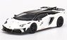 LB-Silhouette WORKS Lamborghini Aventador GT EVO White (LHD) (Diecast Car)