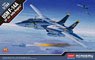 F-14A Tomcat `VF-84 Jolly Rogers` (Plastic model)
